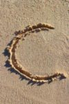 The Letter c_1 - Caribbean - Color