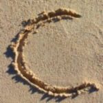 The Letter c_1 - Caribbean - Color