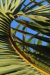 The Letter c_2 - Caribbean - Color
