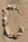The Letter c_4 - Caribbean - Color