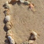 The Letter c_4 - Caribbean - Color