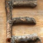 The Letter e_10 - Color