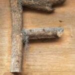 The Letter f_6 - Color