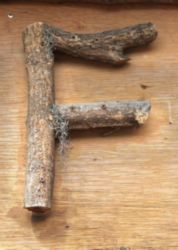 The Letter f_6 - Color