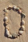 The Letter d_2 - Caribbean - Color