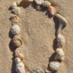 The Letter d_2 - Caribbean - Color