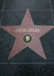 Hollywood Stars - David_Spade