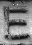 The Letter e_10 - Accent - Black & White