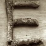 The Letter e_11 - Accent - Sepia Tone