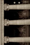 The Letter e_5 - Accent - Sepia Tone