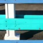 The Letter e_5 - Caribbean - Color