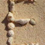 The Letter e_7 - Caribbean - Color