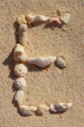 The Letter e_7 - Caribbean - Color