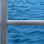 The Letter e_8 - Caribbean - Color