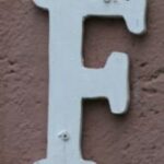 The Letter f_10 - Caribbean - Color