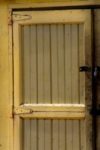 The Letter f_11 - Caribbean - Color