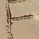 The Letter f_1 - Caribbean - Color