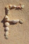 The Letter f_3 - Caribbean - Color