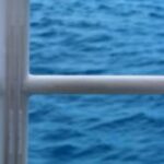 The Letter f_8 - Caribbean - Color