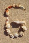 The Letter g_2 - Caribbean - Color