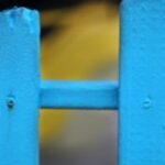 The Letter h-3 - Kids