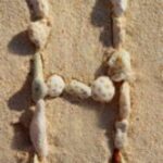 The Letter h_2 - Caribbean - Color