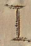 The Letter i_11 - Caribbean - Color