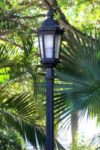 The Letter i_3 - Caribbean - Color
