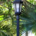 The Letter i_3 - Caribbean - Color