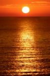 The Letter i_8 - Caribbean - Color