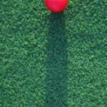 The Letter i_9 - Caribbean - Color