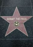 Hollywood Stars - Kermit_The_Frog