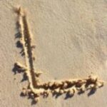 The Letter l_1 - Caribbean - Color