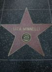 Hollywood Stars - Liza_Minnelli