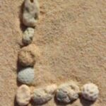 The Letter ll_2 - Caribbean - Color