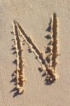 The Letter n_1 - Caribbean - Color