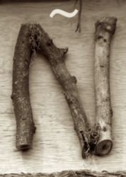 The Letter n_2 - Accent - Sepia Tone