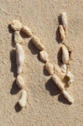 The Letter n_2 - Caribbean - Color