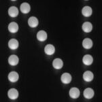 The Letter n_3 - Accent - Black & White