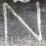 The Letter n_4 - Accent - Color