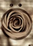 The Letter o_14 - Accent - Sepia Tone