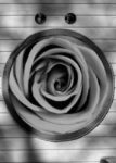 The Letter o_19 - Accent - Black & White
