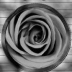 The Letter o_19 - Accent - Black & White