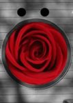 The Letter o_1 - Accent - Color