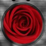 The Letter o_1 - Accent - Color