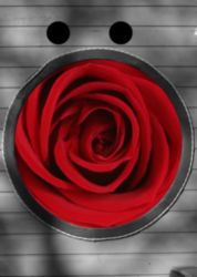 The Letter o_1 - Accent - Color