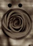 The Letter o_1 - Accent - Sepia Tone