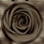 The Letter o_1 - Accent - Sepia Tone