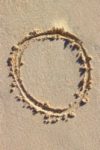 The Letter o_1 - Caribbean - Color