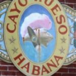 The Letter o_2 - Caribbean - Color